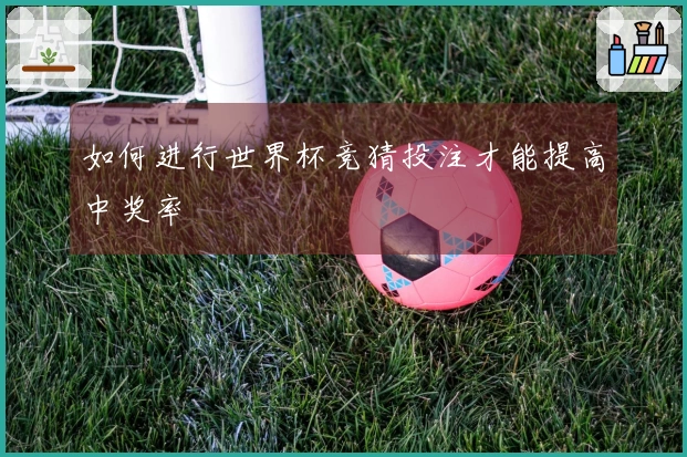 如何进行世界杯竞猜投注才能提高中奖率