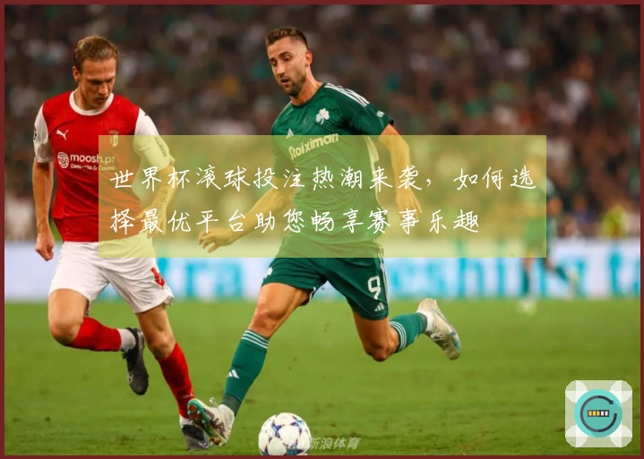 世界杯滚球投注热潮来袭，如何选择最优平台助您畅享赛事乐趣