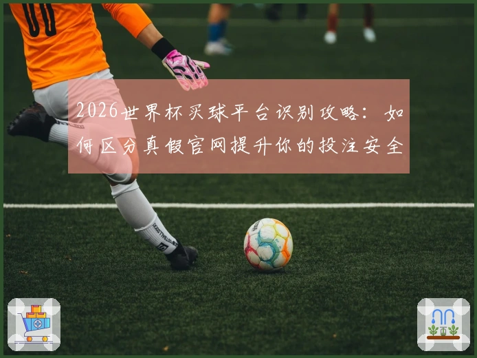 2026世界杯买球平台识别攻略：如何区分真假官网提升你的投注安全