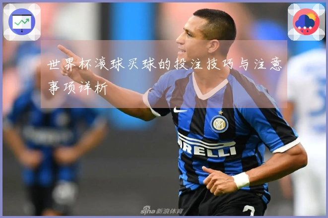 世界杯滚球买球的投注技巧与注意事项详析