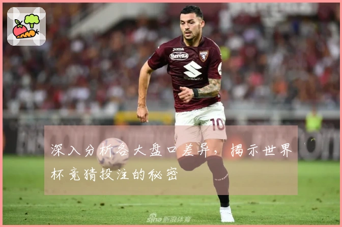 深入分析各大盘口差异，揭示世界杯竞猜投注的秘密
