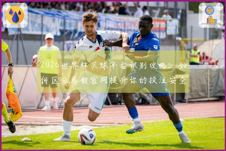 2026世界杯买球平台识别攻略：如何区分真假官网提升你的投注安全