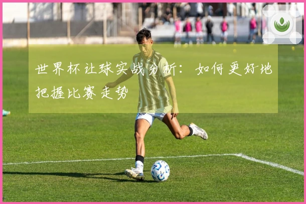 世界杯让球实战分析：如何更好地把握比赛走势