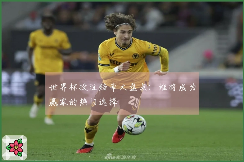世界杯投注赔率大盘点：谁将成为赢家的热门选择