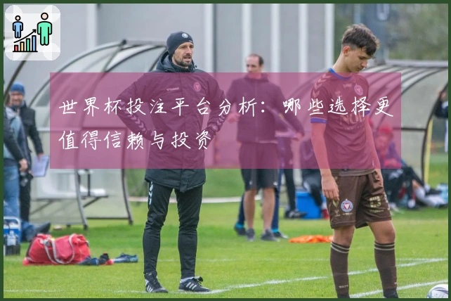 世界杯投注平台分析：哪些选择更值得信赖与投资