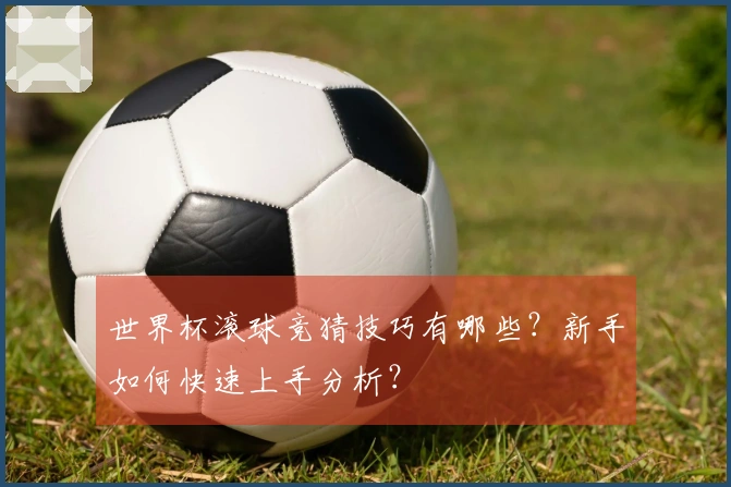 世界杯滚球竞猜技巧有哪些？新手如何快速上手分析？