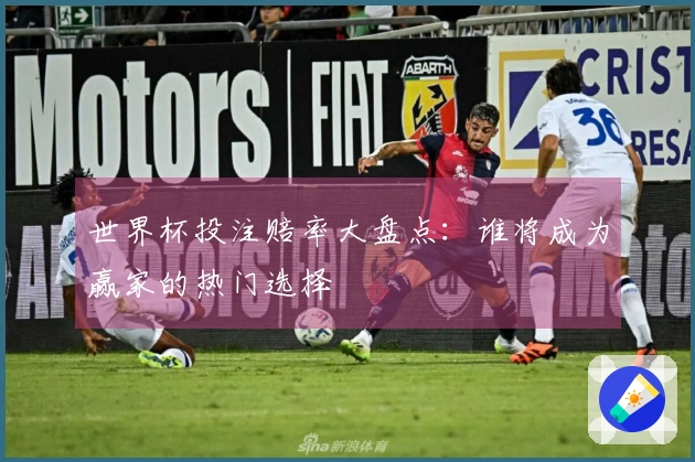 世界杯投注赔率大盘点：谁将成为赢家的热门选择