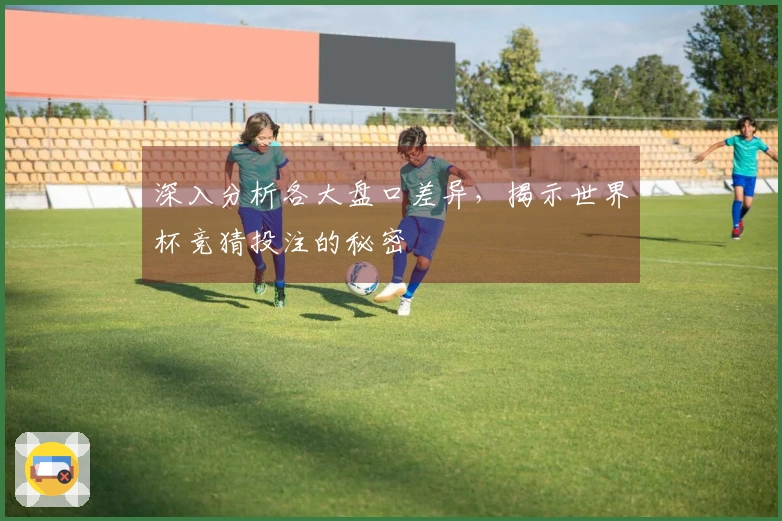 深入分析各大盘口差异，揭示世界杯竞猜投注的秘密
