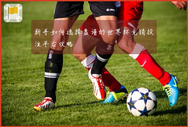 新手如何选择靠谱的世界杯竞猜投注平台攻略