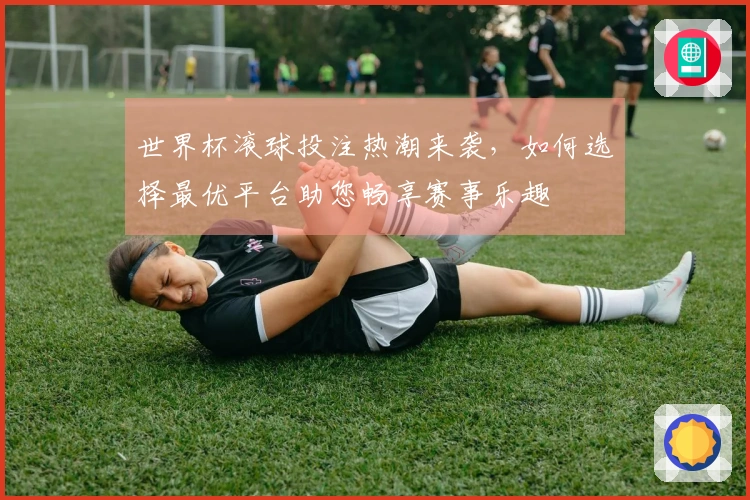 世界杯滚球投注热潮来袭，如何选择最优平台助您畅享赛事乐趣