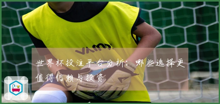世界杯投注平台分析：哪些选择更值得信赖与投资