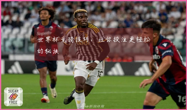 世界杯竞猜技巧，让你投注更轻松的秘诀