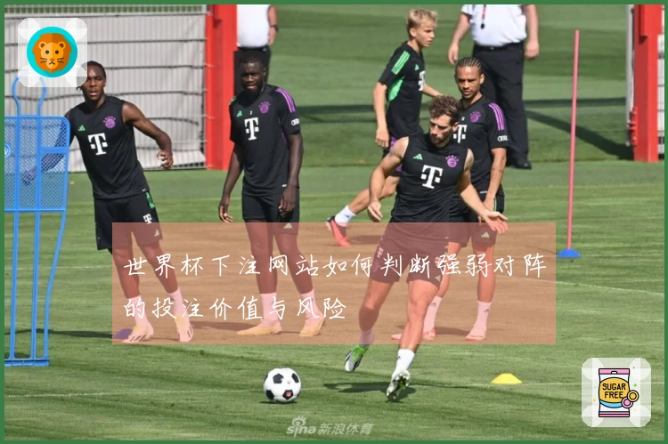 世界杯下注网站如何判断强弱对阵的投注价值与风险