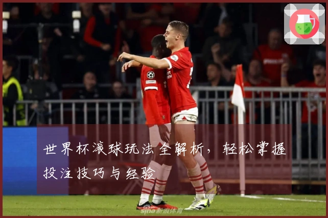 世界杯滚球玩法全解析，轻松掌握投注技巧与经验