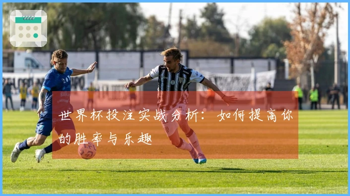世界杯投注实战分析：如何提高你的胜率与乐趣