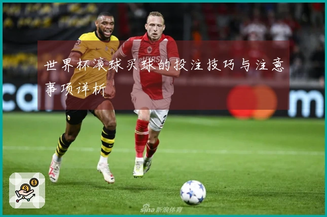 世界杯滚球买球的投注技巧与注意事项详析